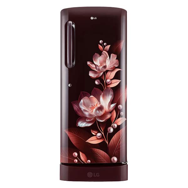 LG 224 L Direct Cool Single Door 5 Star Refrigerator (GLD241ASMU)