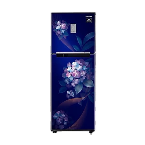 SAMSUNG 236 L Frost Free Double Door 2 Star Refrigerator (RT28C3732HS)