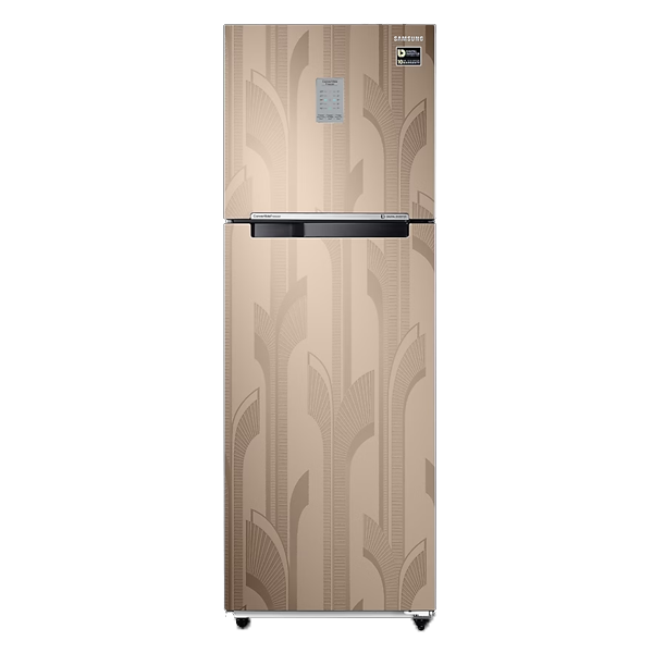 Samsung 256L Convertible Freezer Double Door Refrigerator (RT30C3732YB)